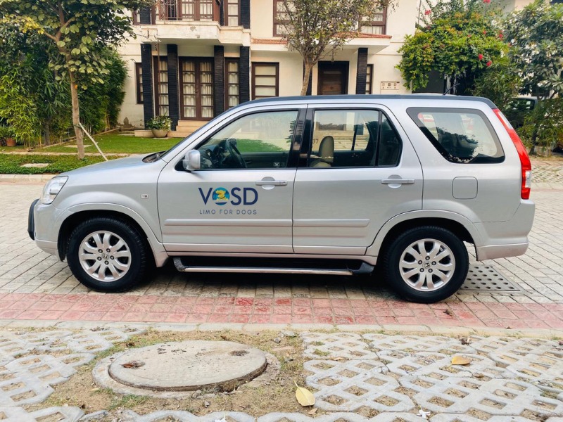 pet cab, pet taxi, luxury pet cab, luxury pet taxi, premium