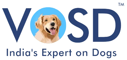 Home 12 VOSD Logo 1
