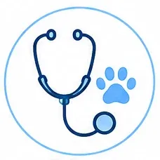 Visit & Volunteer 28 vet care